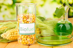 Carleton Forehoe biofuel availability